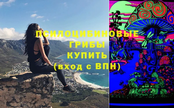 jwh Новозыбков