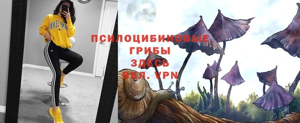 mdma Няндома